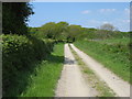 Farm track leading to Lloegr-fach