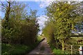 The bridleway to Easington