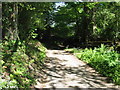 Byway descending north from the A272