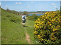 The coastal footpath below Lestowder Cliff