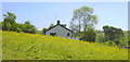 Meadow, Snig Hole, Helmshore