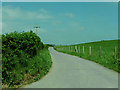 Lane to Wernddu farm