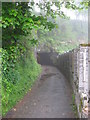 Tunnel No. 1, Saundersfoot Railway - western approach