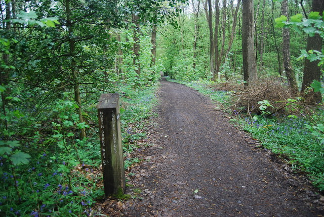 Milepost, Downs Link, Sussex - Surrey Border