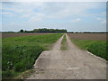 Permissive  Bridleway  crossing  Bellasize  Drain