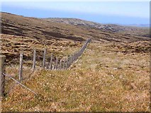 NX1176 : Fence on the summit of Deer's Howe by Oliver Dixon