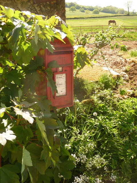 Batcombe: postbox № DT2 28 and a horse