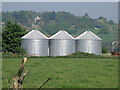 Grain Silos at Somerton