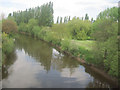 River from Westgate Street Bridge