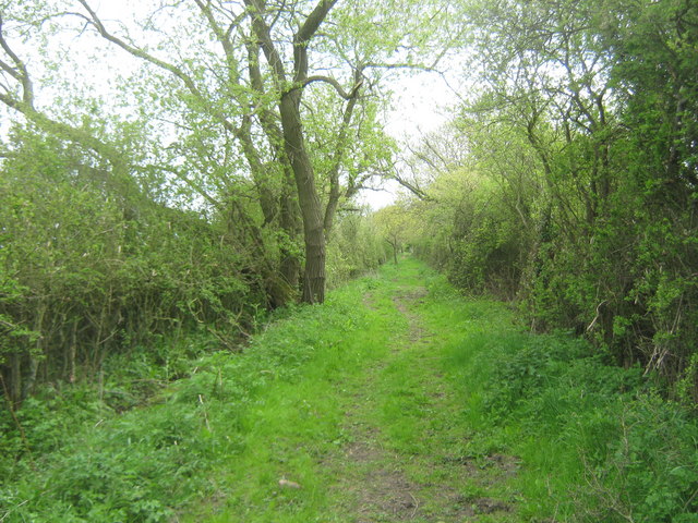 Bridleway in Green Lane near Thornton le... © peter robinson cc-by-sa/2 ...