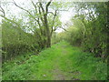 Bridleway in Green Lane near Thornton le Beans North Yorkshire