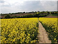 Field on the south side of Bret