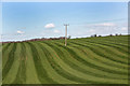 SU4374 : Stripey Meadow by Des Blenkinsopp