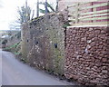 Wall reinforcement, Hall Farm, Stogumber