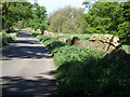 Perimeter stone wall around Great Tew Park