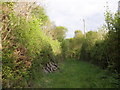 Abandoned railway trackbed, at Leigh Cross