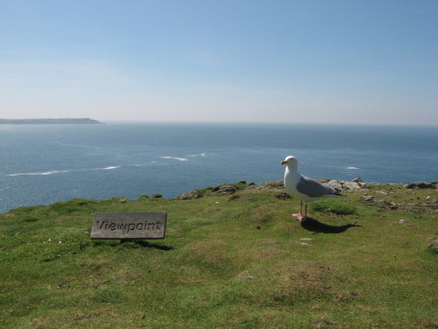Viewpoint on Skomer Head