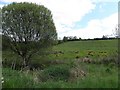 Agharoosky Townland