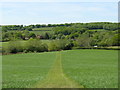 Clear path off Sheepwash Lane