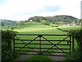 Pengwern Vale sheepfields