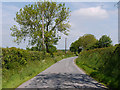 Minor road heading east from Cilcennin