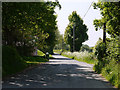 Minor road passing Cilcennin Cyclemart