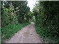 The Clarendon Way leading west , down to Pitton