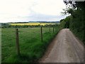 The Clarendon Way following the Roman road towards Middle Winterslow