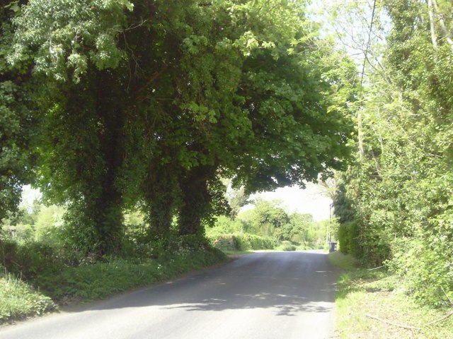 Country Road, Co Meath
