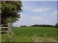 N8455 : Landscape, Co Meath by C O'Flanagan