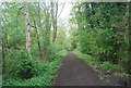 The Downs Link on the edge of Cranleigh