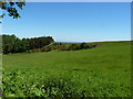 Open fields on Smethcott Common