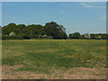 Field near Ash Green