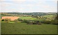 Devon Countryside near Bere Alston