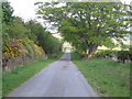 Minor road in the Roxburghshire hills