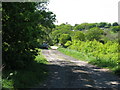 Vanguard Way approaching Scantlings Farm