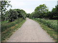 Biddulph Valley Way near Gillow Heath