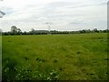 N8855 : Landscape, Co Meath by C O'Flanagan