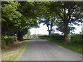 N8856 : Country Road, Co Meath by C O'Flanagan