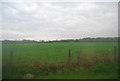 TQ0936 : Field north of the B2128 by N Chadwick