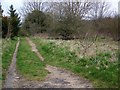 Footpath, Blue Vein