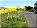 B1368 near Hay Street, Hertfordshire