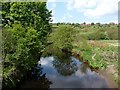 The River Tame [downstream]