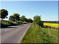 B1368 near Hay Street, Hertfordshire