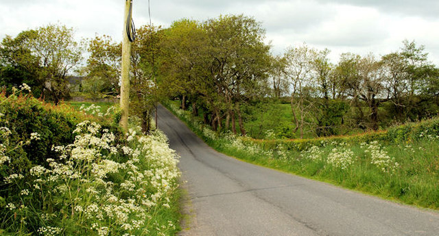 The Middle Road near Saintfield (1)