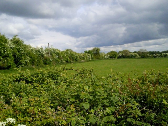Landscape, Co Meath