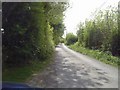 N8656 : Country Road, Co Meath by C O'Flanagan