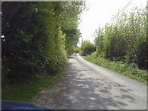 N8656 : Country Road, Co Meath by C O'Flanagan