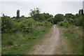 Path across waste ground