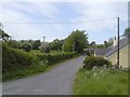 N8454 : Country Road, Co Meath by C O'Flanagan